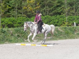 IMG_0513_web